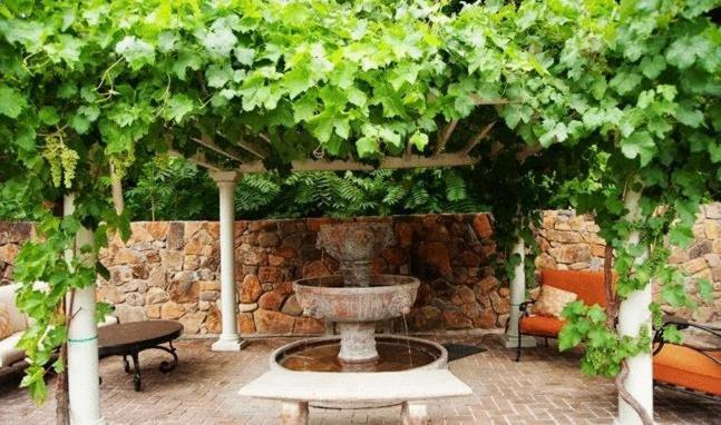 Spanish Villa Inn St. Helena Buitenkant foto